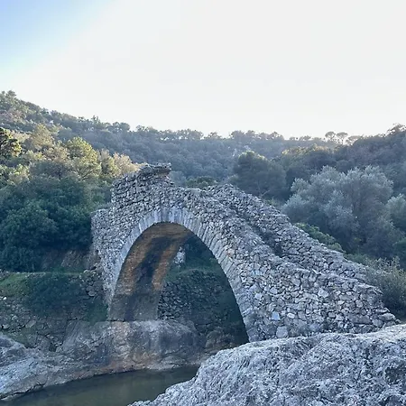Alamic Daire Grimaud