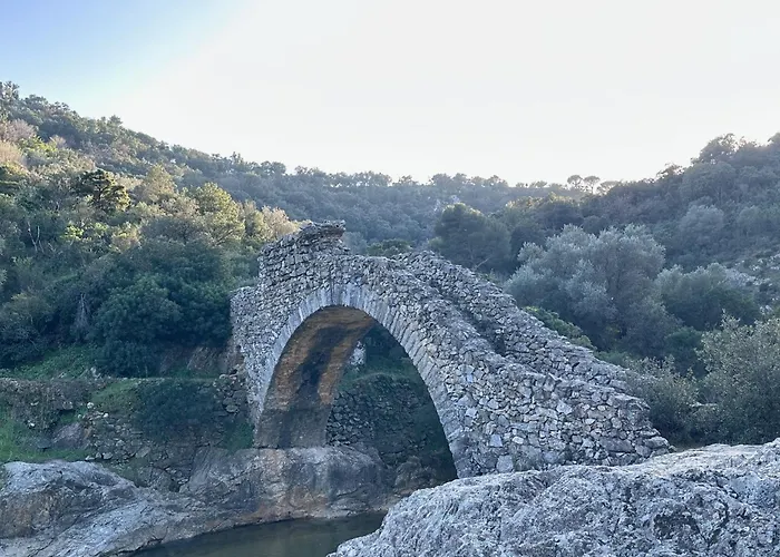 Alamic Daire Grimaud